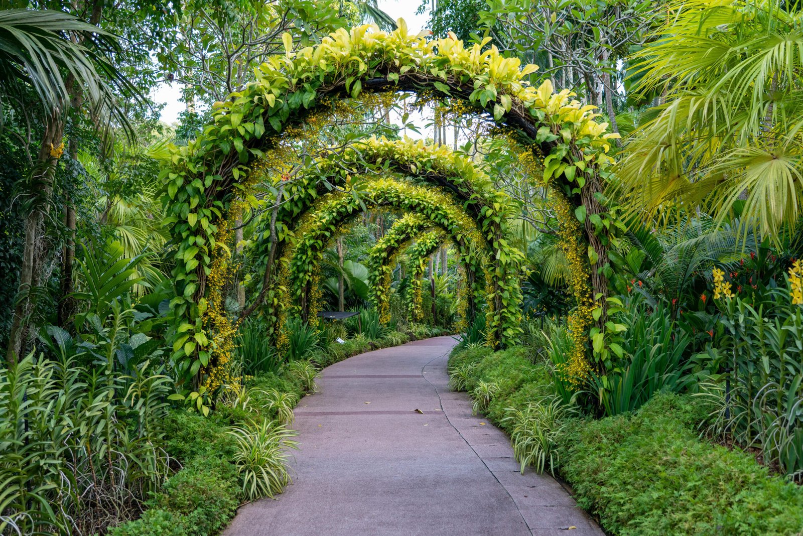 footpath-beautiful-arch-flowers-plants